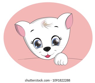 cute cat vector illustration