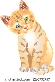 Cute Cat -Vector Illustration