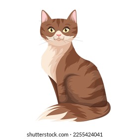 Cute cat vector illustration. Cartoon isolated brown tabby kitten with adorable face and paws, fur and tail sitting, friendly posture of amusing kitty character, front view of fluffy cat friend