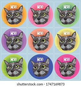 Cute Cat  Vector and illustration design on color