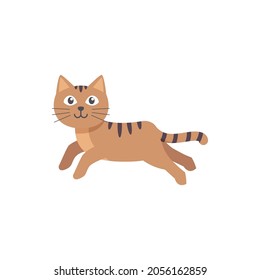  cute cat vector illustration design eps.10