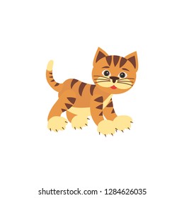 Cute cat. Vector illustration  on white background.