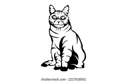 Cute cat vector. Illustration of playful, Hand drawn vector portrait