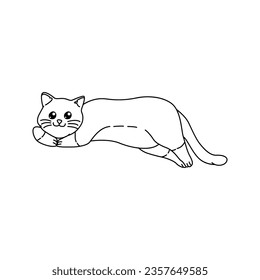 Cute cat vector illustration for your design asset