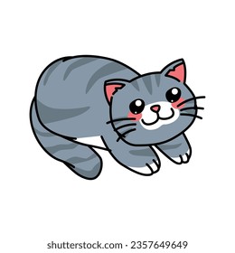 Cute cat vector illustration for your design asset