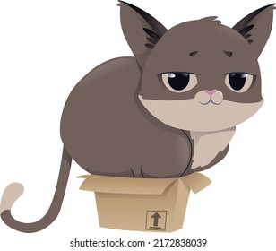 Cute cat vector illustrations arts