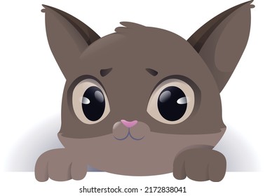 Cute Cat Vector Illustrations Arts Stock Vector Royalty Free Shutterstock