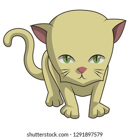 The cute cat is a vector image, illustrating a very cute and sweet cat.
