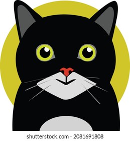 cute cat vector logo illustration cat face avatar eps 10