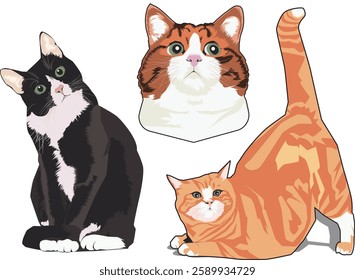 cute cat vector with pastel color