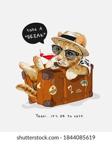 cute cat in vintage suitcase illustration