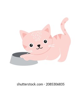 Cute cat waiting for her food