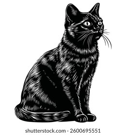 cute cat is watching vector