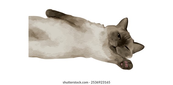 Acuarela linda del gato aislada en el fondo blanco. Kitty dormir y acostarse dibujando la Ilustración vectorial