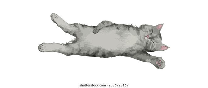 Nettes Katzen-Aquarell einzeln auf weißem Hintergrund. Kitty schlafen und liegen Zeichnung Vektorgrafik