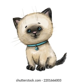 Cute cat watercolor vector illustration isolated on white background. Siamese kitten with a turquoise collar. Animal Character Design