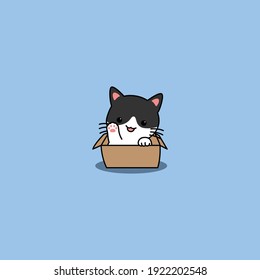 Cute cat waving paw in the box cartoon, vector illustration