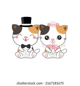 cute cat wearing costumes of bride and groom vector illustration.