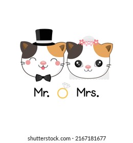 cute cat wearing costumes of bride and groom vector illustration.