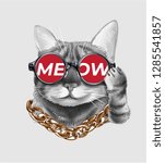 cute cat wearing meow sunglasses and neck lace illustration