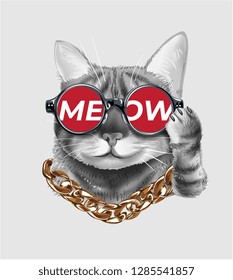 Cute Cat Wearing Meow Sunglasses And Neck Lace Illustration