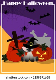 Cute cat wearing witch hat sitting near Halloween pumpkin lantern  near a magic potion pot with bones, spider with cobweb, flying bats and Happy Halloween text. Vector illustration.