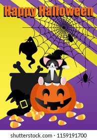 Cute cat wearing witch hat sitting on Halloween pumpkin lantern  near a magic potion pot with bones, witch hat, spider with cobweb, ghost, candy corn and Happy Halloween text. Vector illustration.