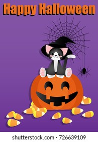 Cute cat wearing witch hat sitting on Halloween pumpkin lantern with spiders hanging on cobweb, candy corn on the floor and Happy Halloween text on purple background. Vector illustration.