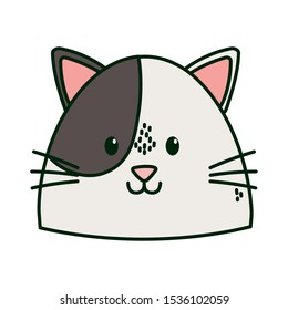 cute cat white and brown head vector illustration