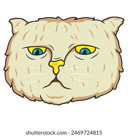 
cute cat white colour  blue colour
