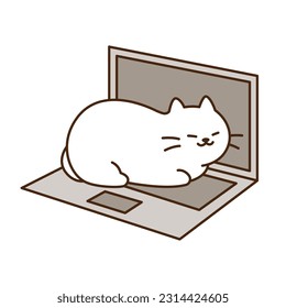 Cute cat. A white cat is sitting on a laptop and disturbing computer use.