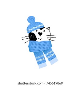 cute cat in a winter hat and in a scarf