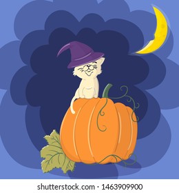 Cute cat in a witch hat sitting on a Halloween pumpkin.