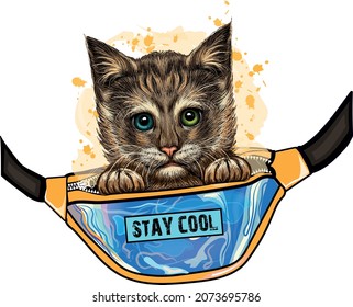 Cute cat in yellow waist bag illustration. Cool cat. Stay cool lettering.