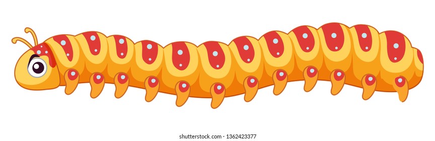 A cute caterpillar character illustration