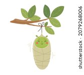 A cute caterpillar in a cocoon on a tree branch. Pupa of a butterfly. Children