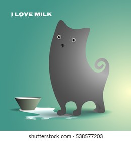 Cute cat.Gray cat with milk.
