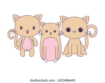 cute cats animals isolated icon