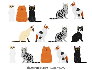 cute cats border set