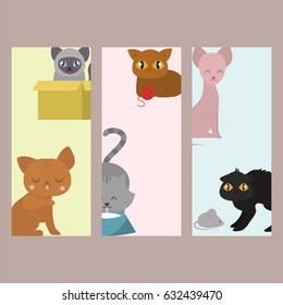 Cute cats cards character different pose funny animal domestic kitten vector illustration.