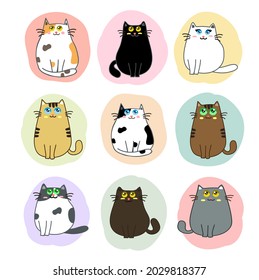 vector de dibujos animados para gatos lindos