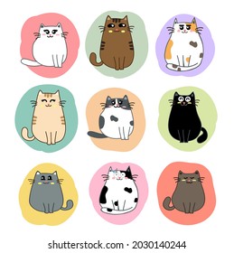 cute cats cartoon set vector