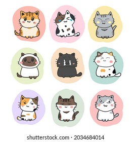 cute cats cartoon set vector