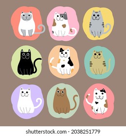 cute cats cartoon set vector