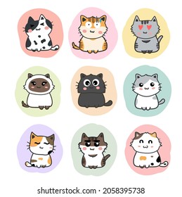 cute cats cartoon set vector