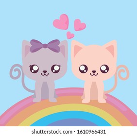 Cute cats cartoons and rainbow design, Animals zoo life nature character childhood and adorable theme Vector illustration