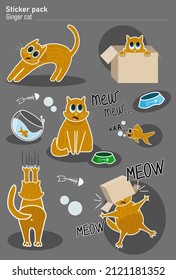Cute cats. Cat in a box, adorable ginger kitten plays with a fish in an aquarium and a fat cat asks for food, vector illustration set. Pet lifestyle. The comic kitten put the box on his head. Stickers