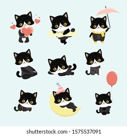 Cute cats character different pose funny animal domestic kitten vector illustration.