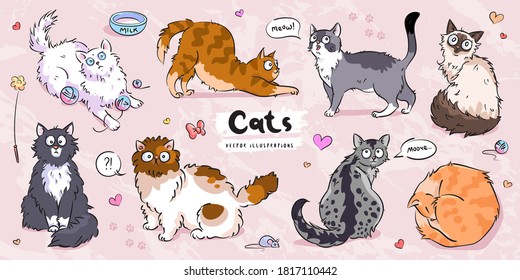 Juego de vectores de pose diferente para el carácter de felinos