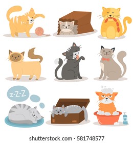 Cute cats character different pose vector set.